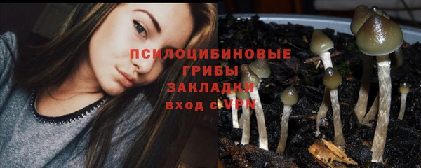 MDMA Дмитриев